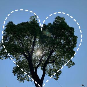 女校花脱👙给我揉🐻绑架
