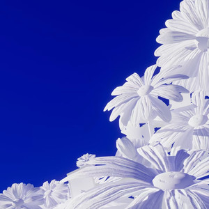 女校花脱👙给我揉🐻绑架
